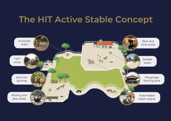 Infographic showing a broad view of what an active stable could look like Infographic showing a broad view of what an active stable could look like