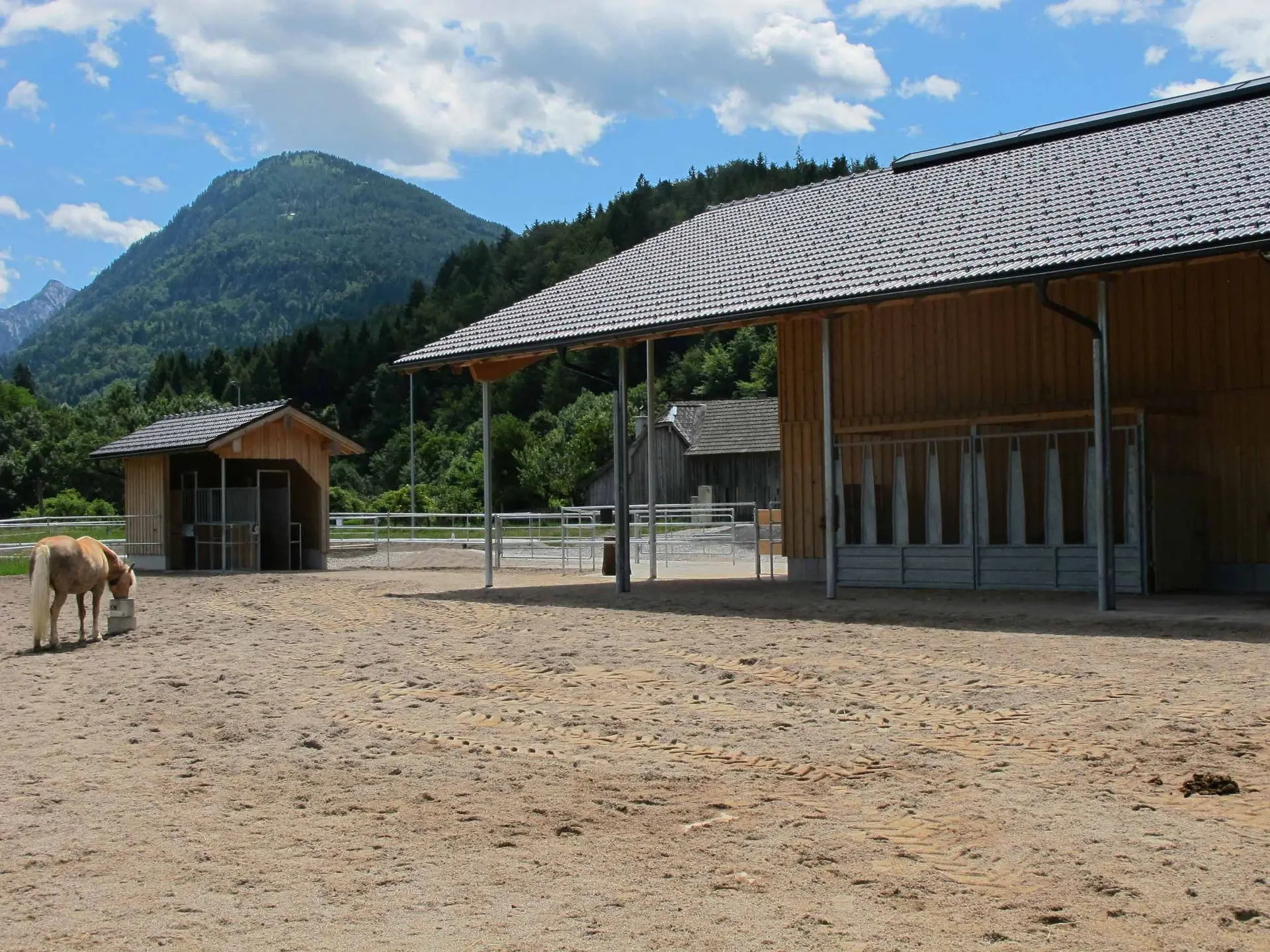 Active Stabling That Improves Welfare, Cuts Costs, and Saves Time