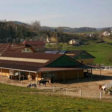 Active Stabling That Improves Welfare, Cuts Costs, and Saves Time