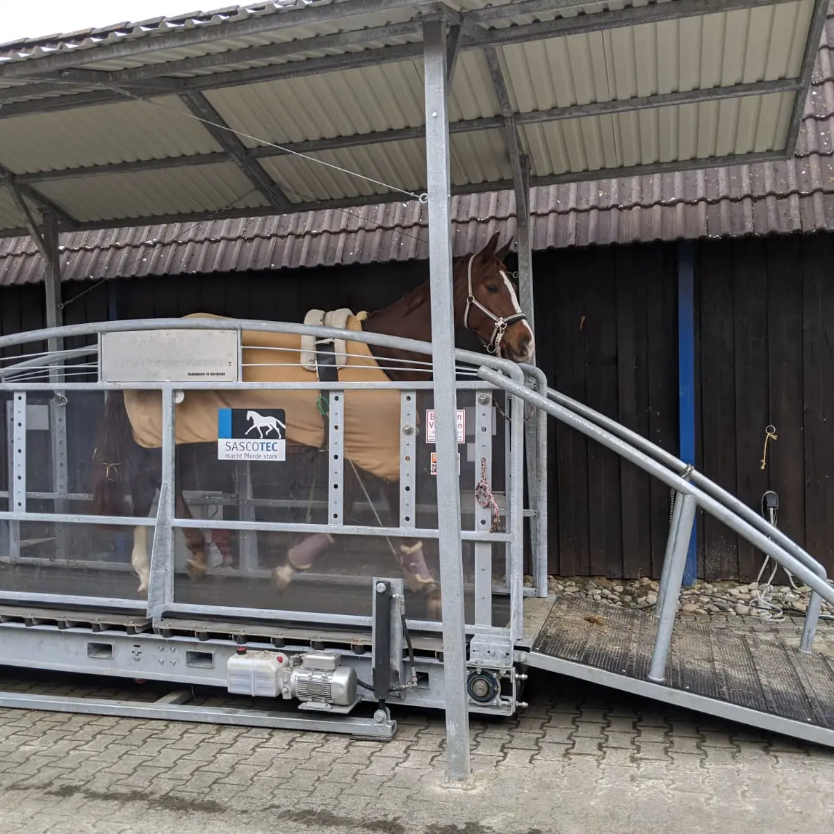 horse on a sascotec dry treadmill horse on a sascotec dry treadmill