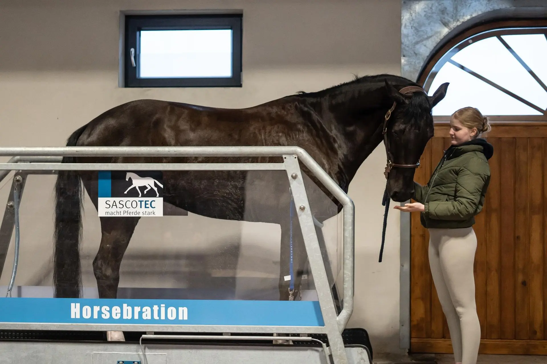 Dark horse enjoying the theraputic benefits of horsebration