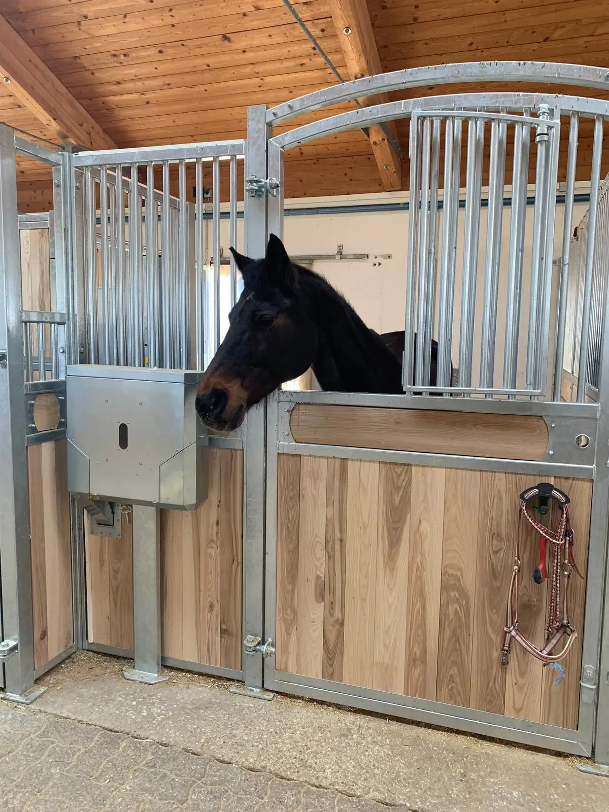 Classic stable management | Jelka