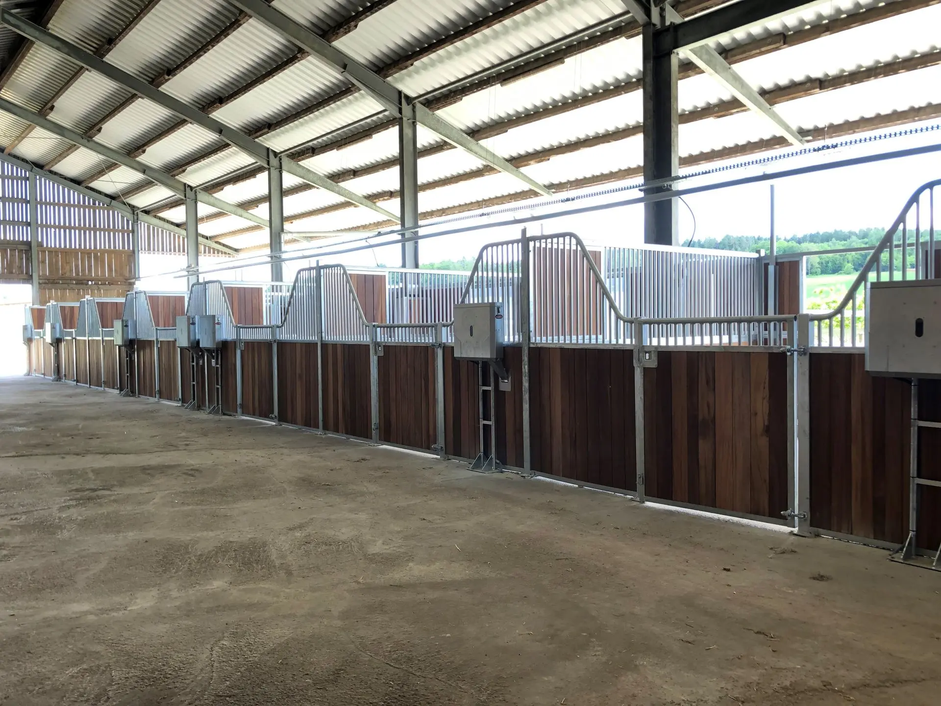 Classic stable management | Jelka