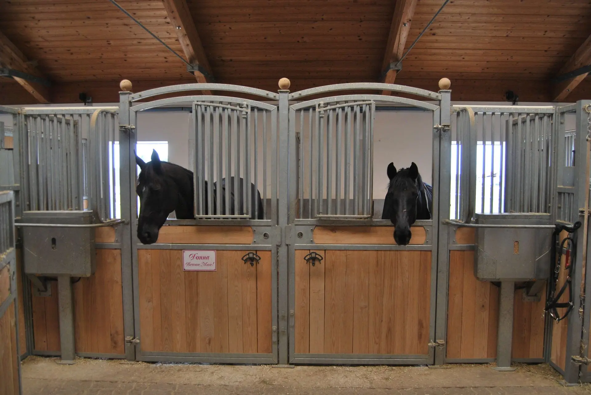 Classic stable management | Jelka
