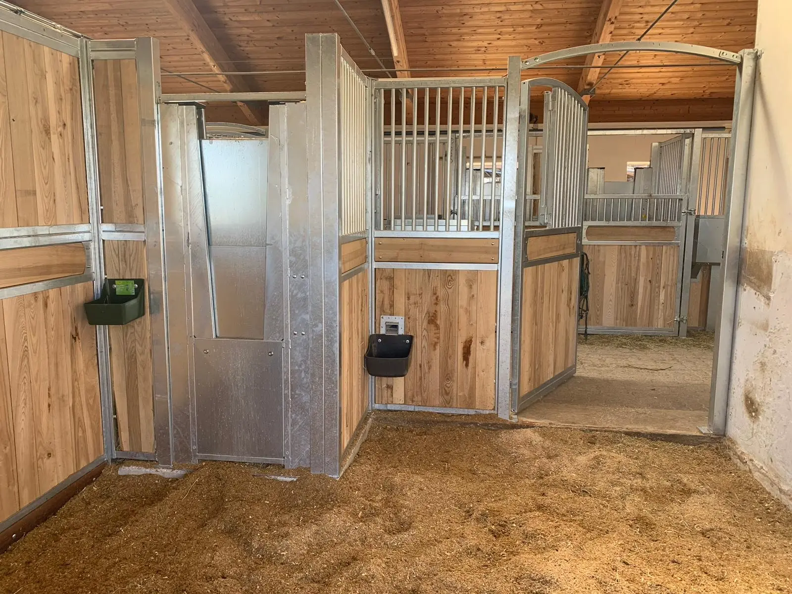 Classic stable management | Jelka