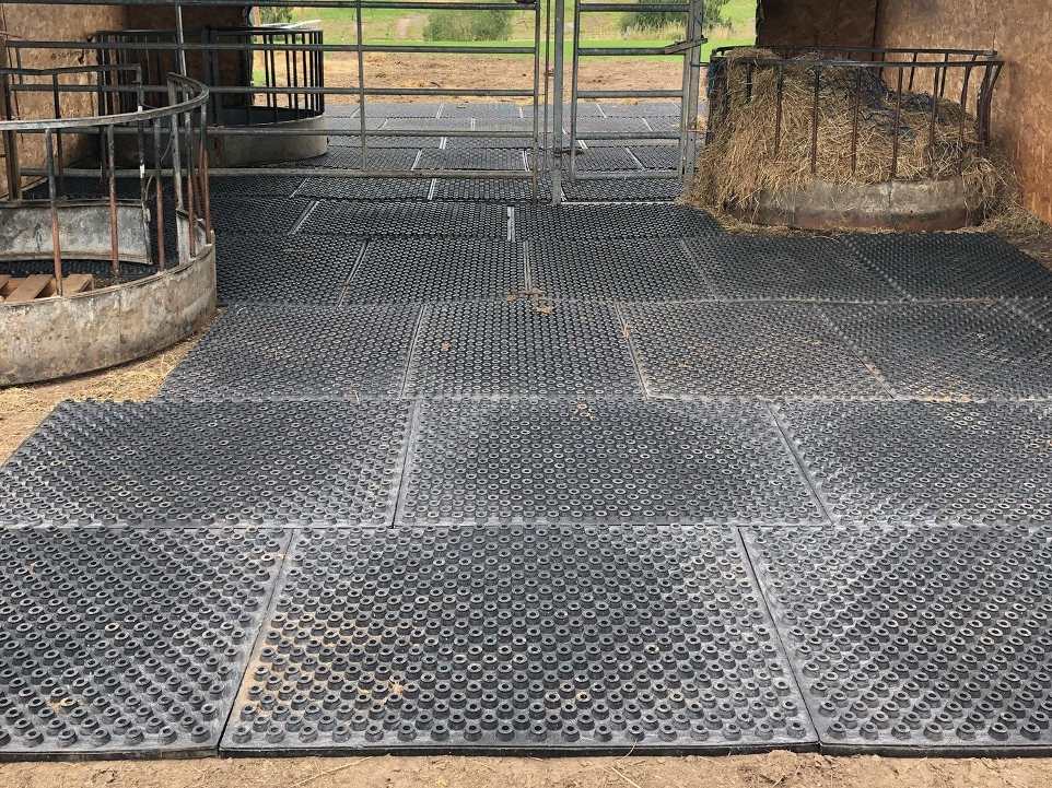 mud mats for horses