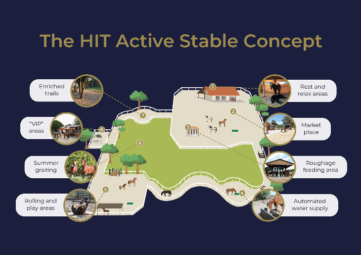 HIT Active Stable infographic