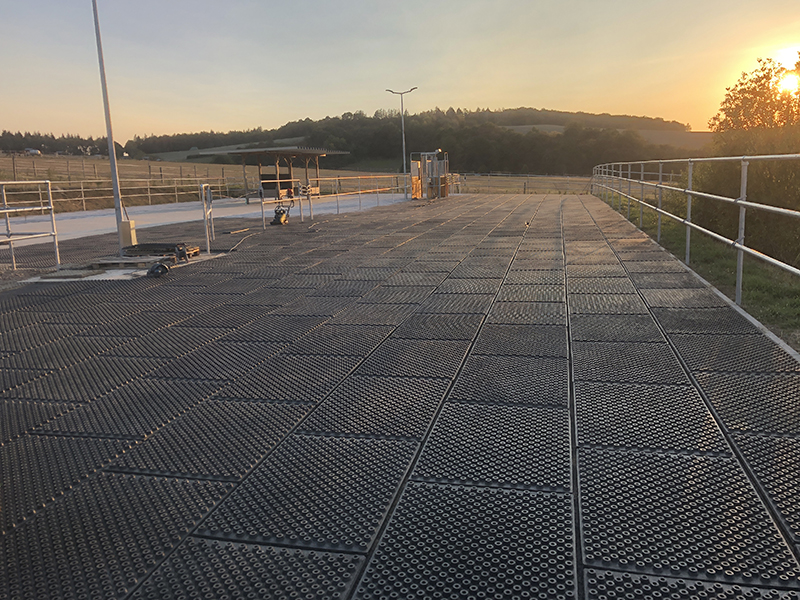 Top Clean Gallery Jelka