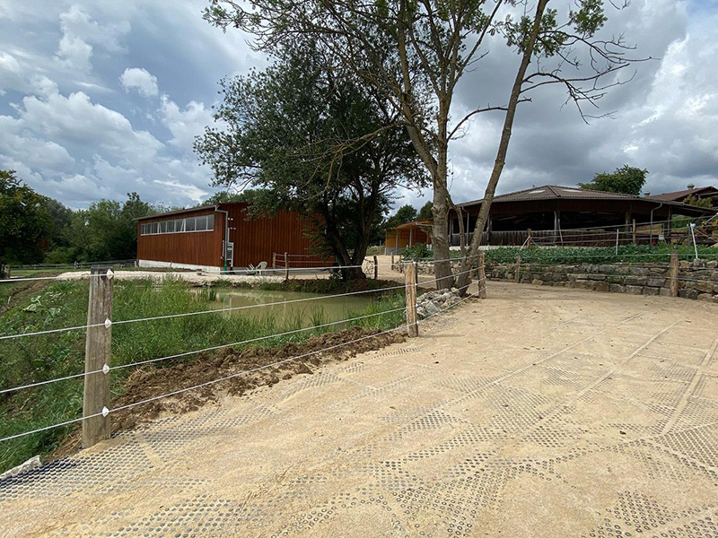 Top Clean Gallery Jelka