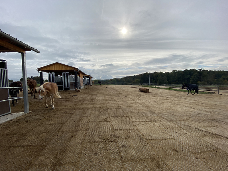 Top Clean Gallery Jelka