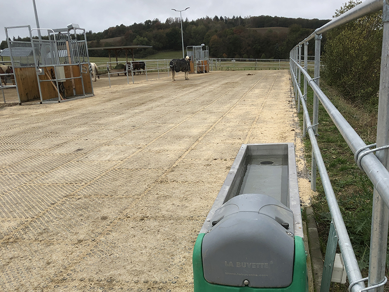 Top Clean Gallery Jelka