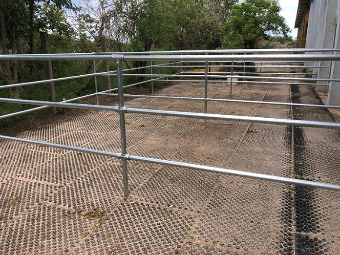 Outdoor turnout pens with top clean floor