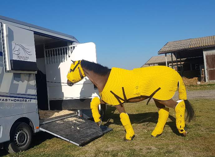 Horse wearing Ironhorse boarding a trailer