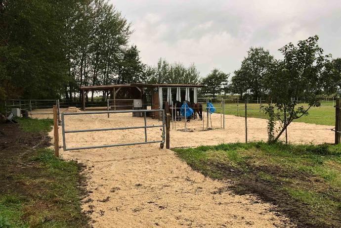 Secure outdoor paddock by top clean for horses