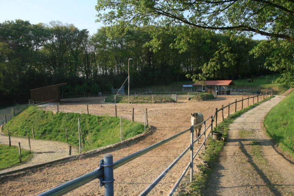 Active Stable trail with feeding station