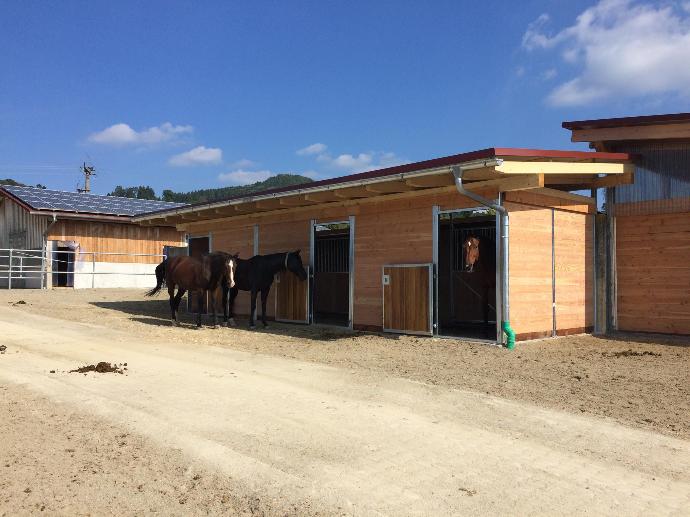 Secure stables as night pens