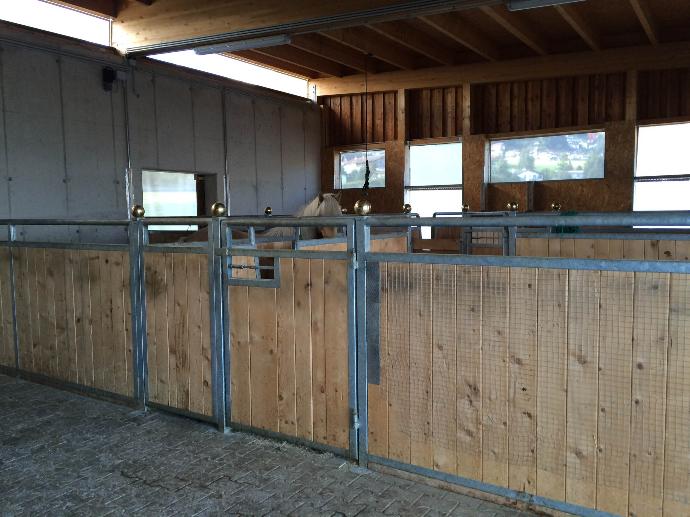 Stables in an open Activestable lying barn
