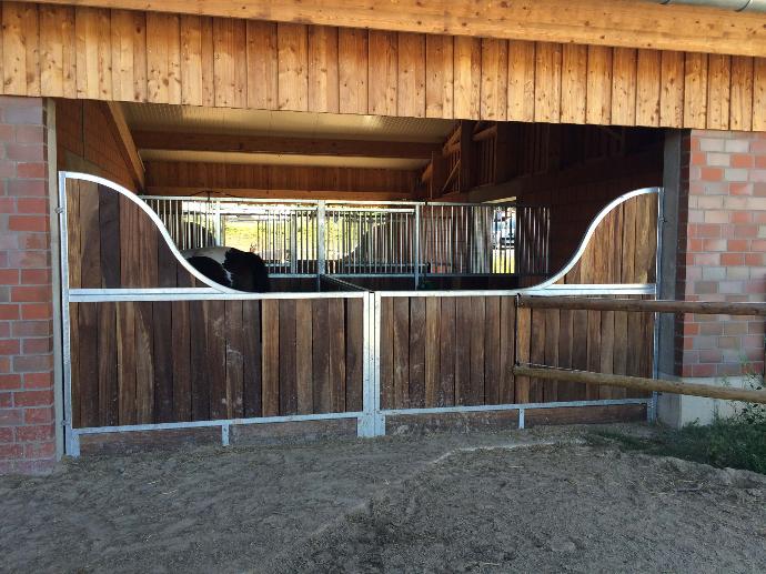 Large open stable for competition horse