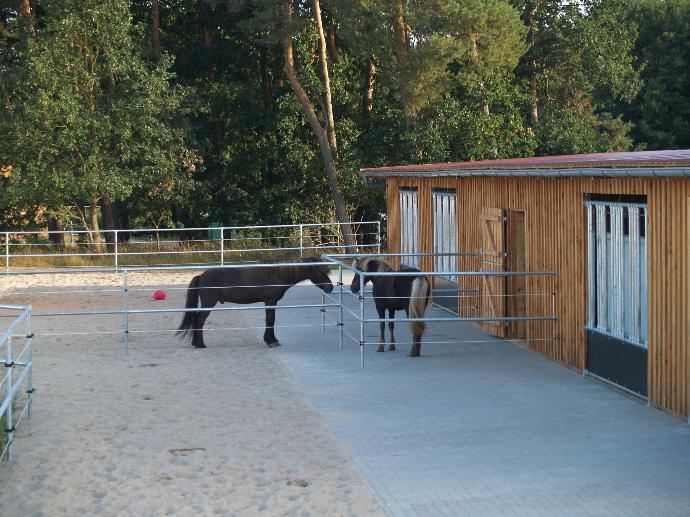 Outdoor stable and turnout for herd integration