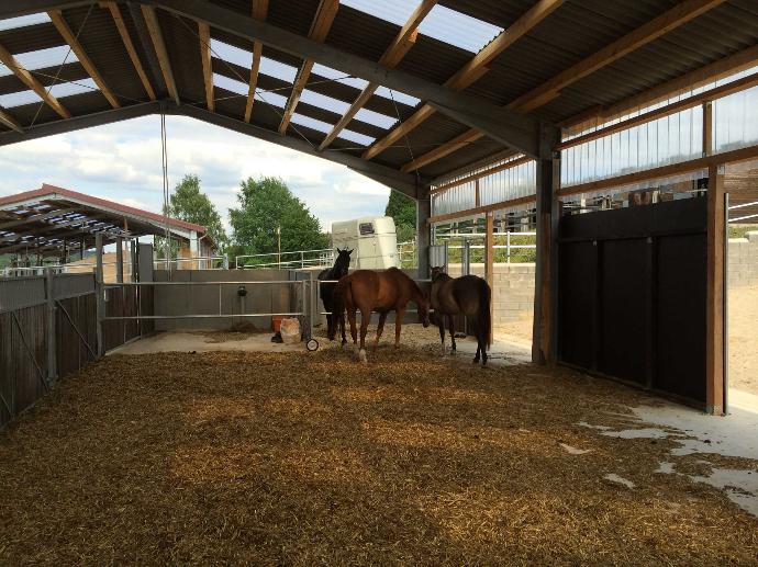 Large open barn for horses resting