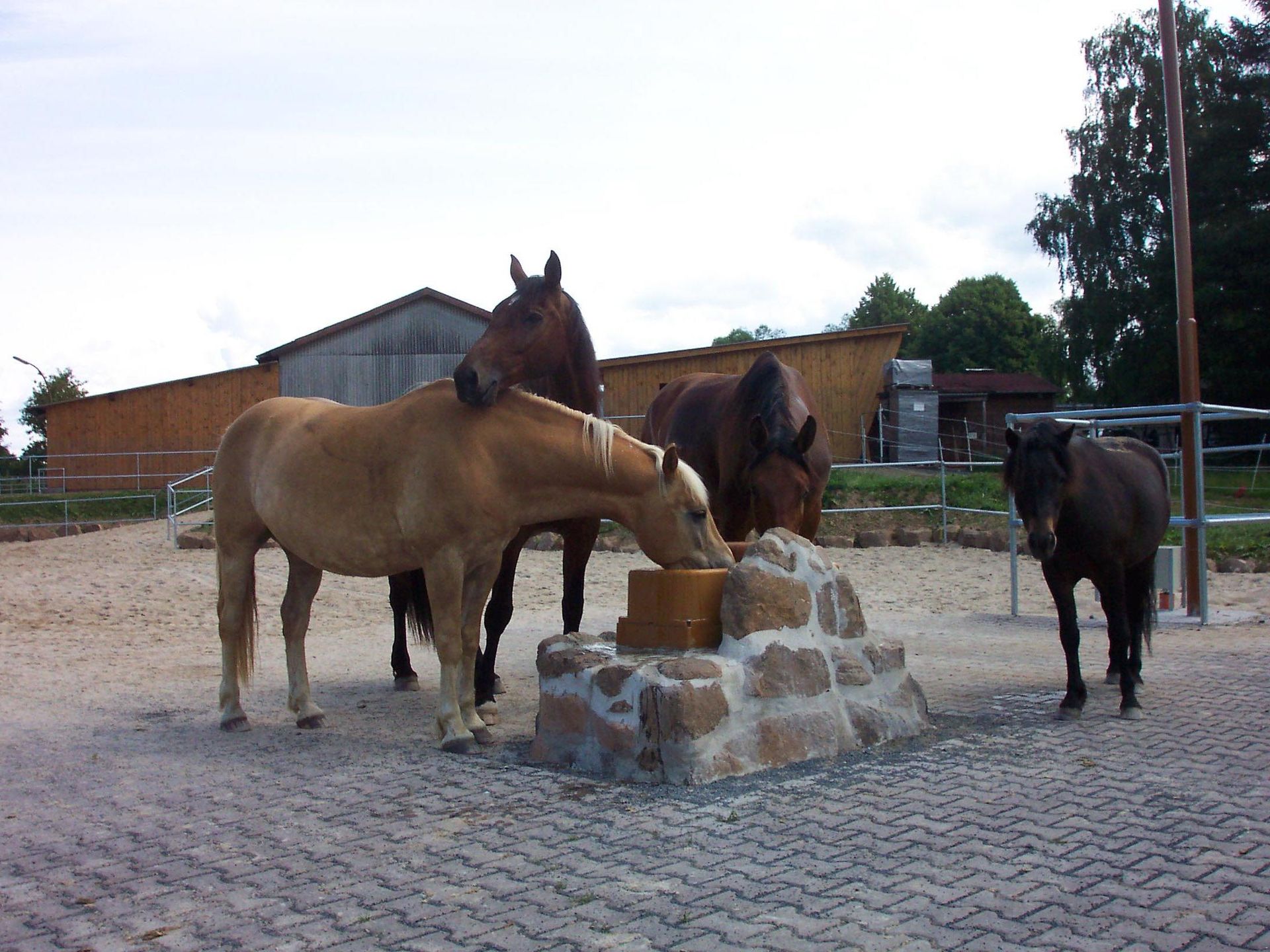 Active Stabling That Improves Welfare, Cuts Costs, and Saves Time