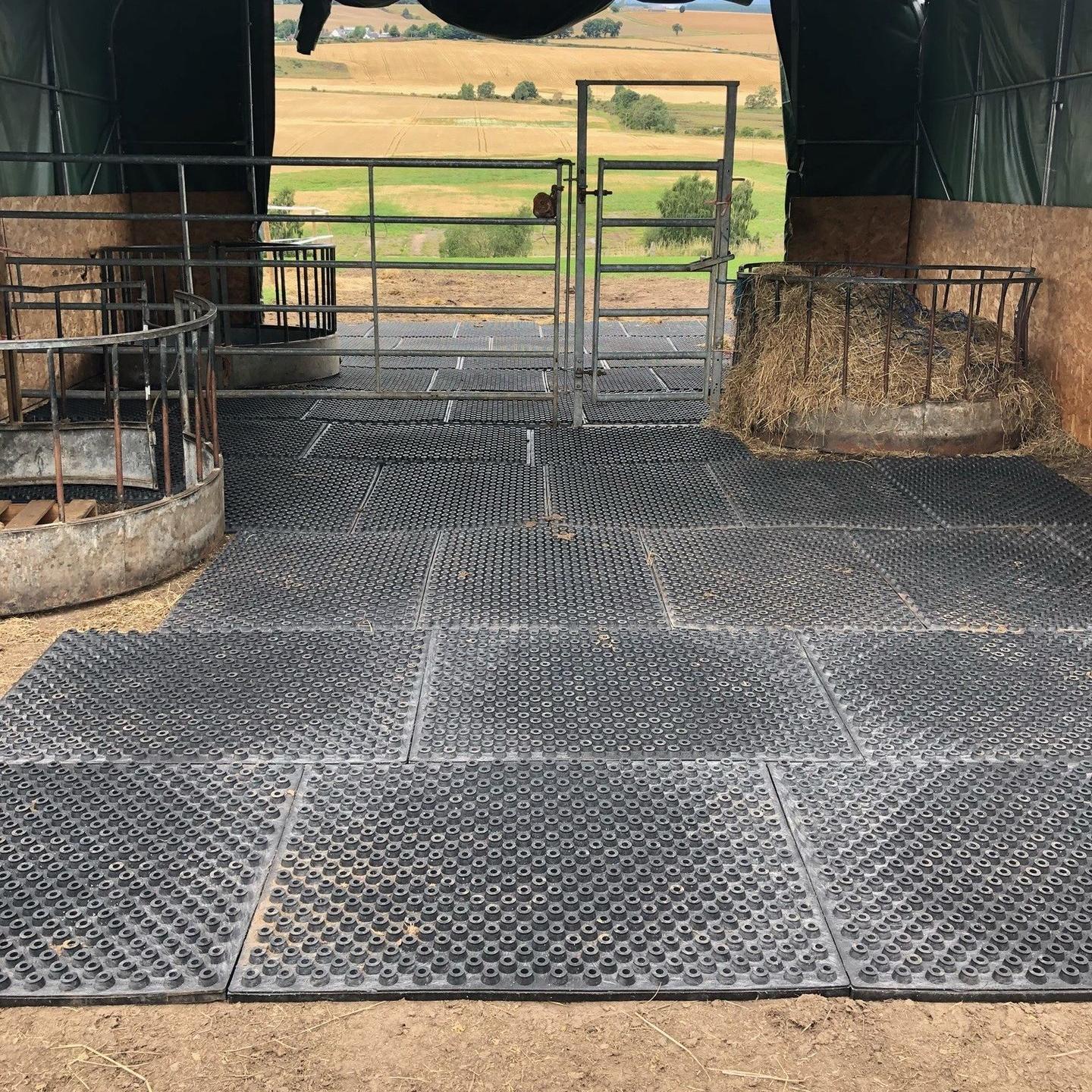 HIT Top Clean in covered feeding area with no sand