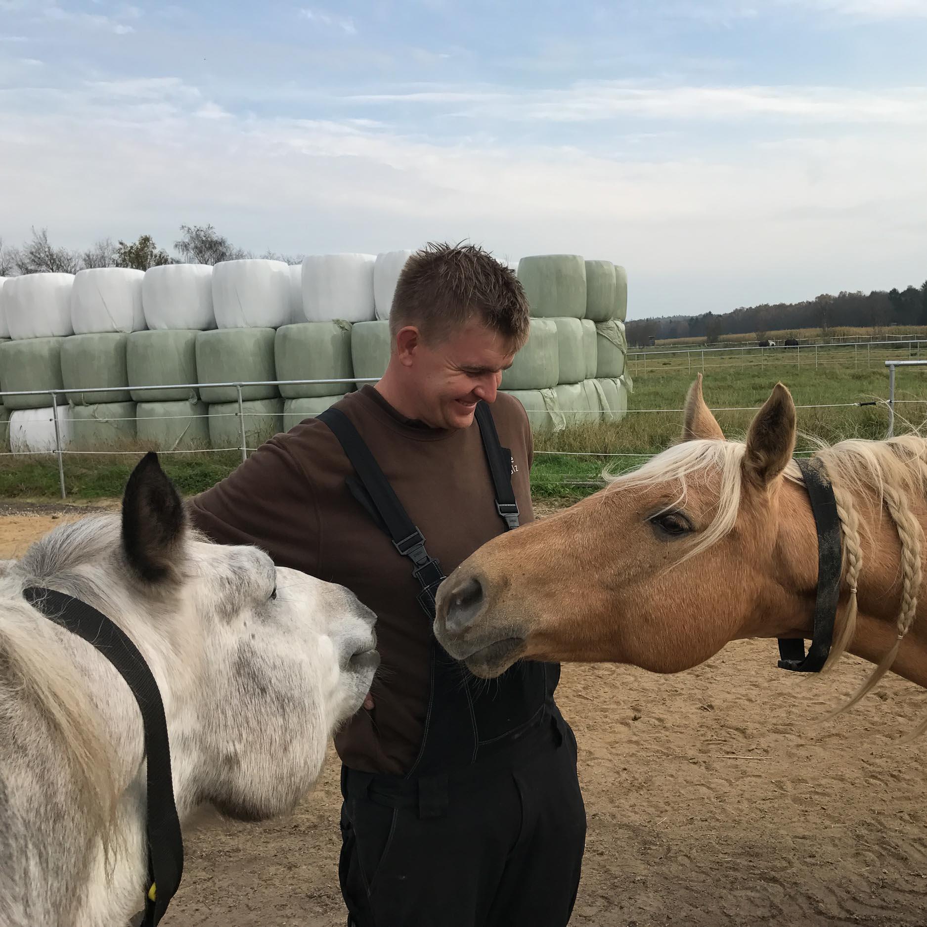 happy horses with horse owner