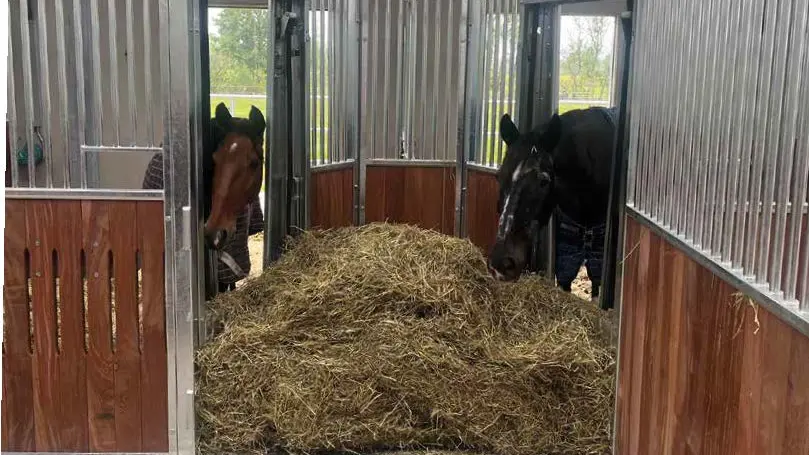 stables with hay feeding