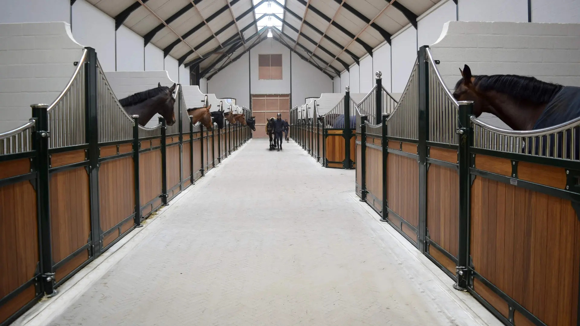 stable barn with professional stables