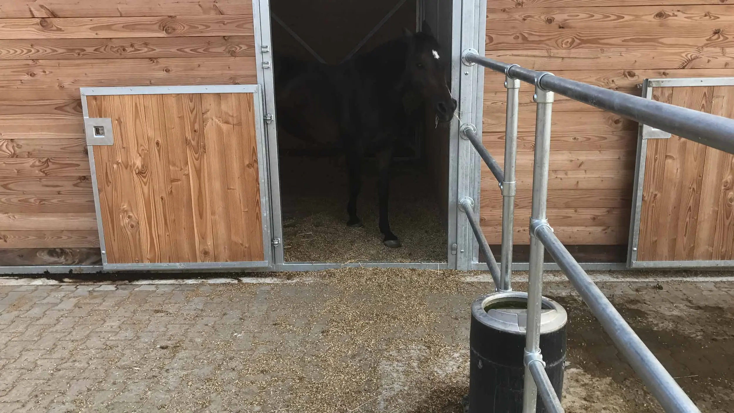 stable with outdoor turnout