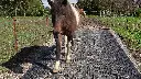 kraiburg-produkte-flix-swiper-21.webp