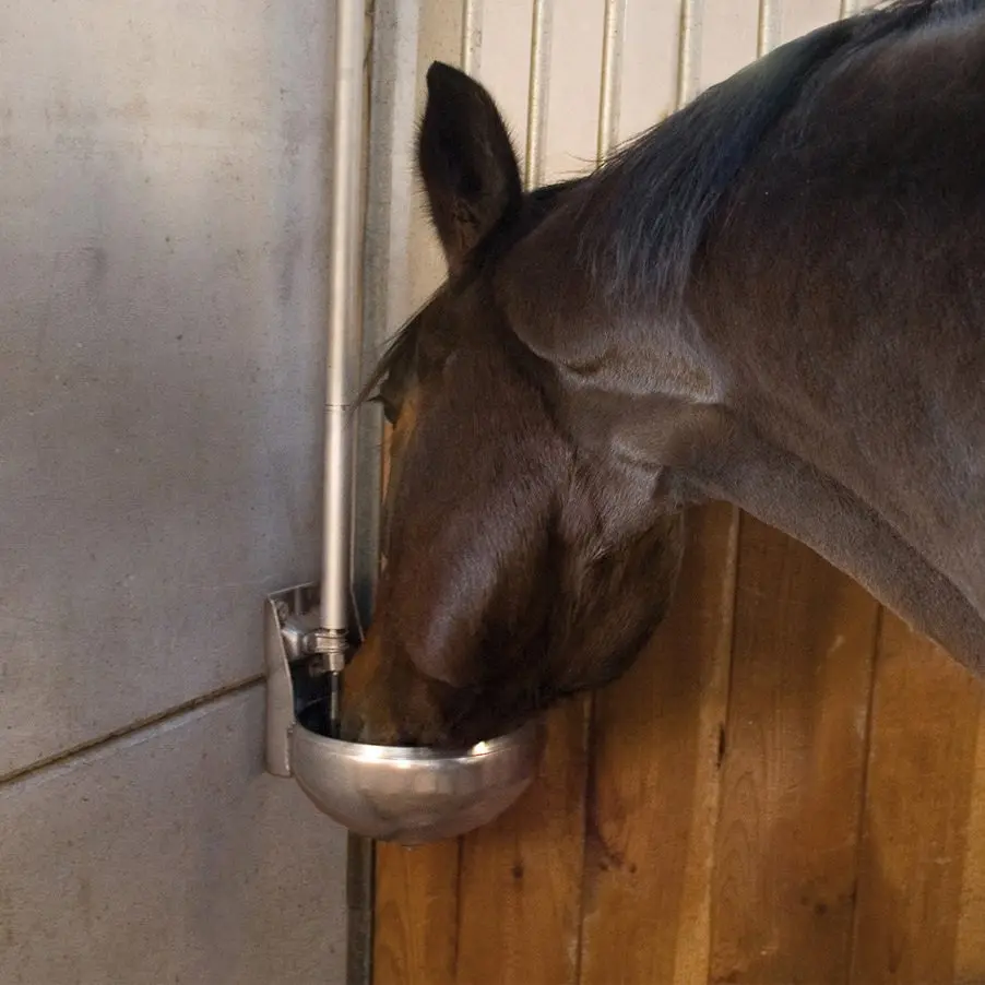 3209-f110_situ-cheval.webp