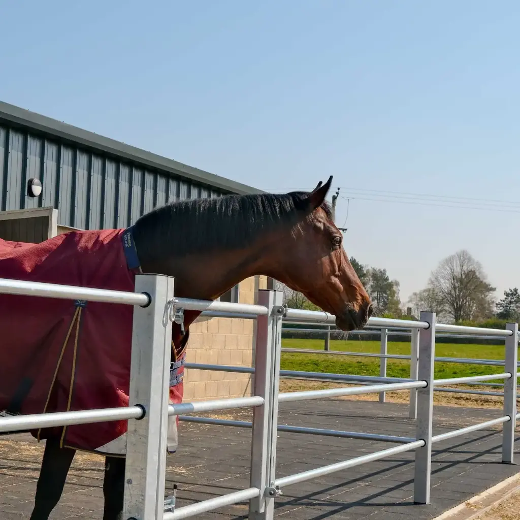 Turnout Pen Fencing